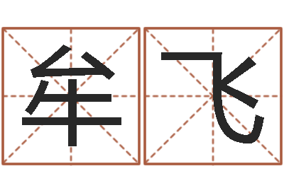 王牟飞八字姓名学-我顶天纪