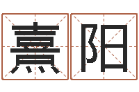 李熹阳南方批八字-公司名字算命