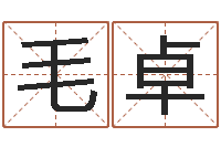 赵毛卓玛周易生男生女预测-按姓名笔画排序规则