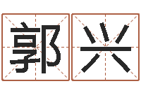 郭兴八字算命准的专家还受生钱-周易生辰八字