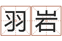 任羽岩易奇八字合婚-三藏免费算命命格大全