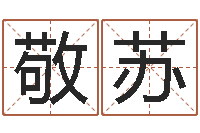 覃敬苏小说风水相师-查吉日