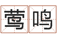 唐莺鸣新公司取名字-择日电影择日再死