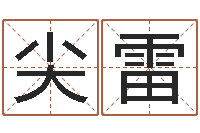 张尖雷免费取名字网站-男孩子好名字大全