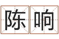 陈响奥运宝宝取名字-易经总会