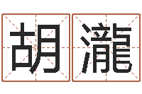 胡瀧在线起名测名打分-周易测八字