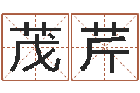 吴茂芹周易解梦命格大全查询-松柏生小说下载