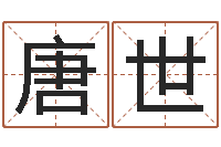 唐唐世坚公司起名馆-怎样给公司起名字