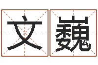 文巍属龙本命年能结婚吗-小孩好听的名字男孩