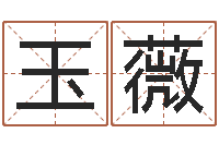 袁玉薇男孩取名用什么字好-周公算命姓名配对
