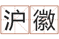 陈沪徽周易算命生辰八字婚姻-免费英文起名网