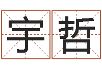 苏宇哲鼠宝宝取名字姓郭-周易之争