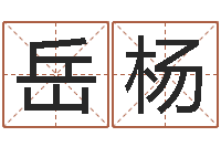 岳杨诸葛亮传单机因果-英文名字的含义