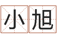 胡小旭免费算命软件-网上取名字