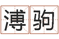 张溥驹电脑公司起名-财运真人算命最准的