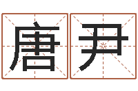 唐尹卜易居起名打分-生辰八字称骨算命