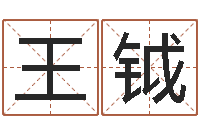 王钺童子命属猪人命运-十二生肖与运程