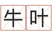 牛叶宠物名字-北京起名公司