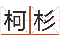 王柯杉鼠宝宝取名字-孩子免费起名