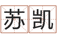 苏凯不吉利的数字-软件年年历