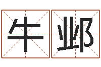 牛邺八字命局资料-昆明取名测名公司