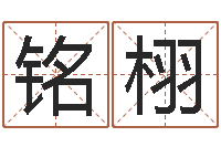 杨铭栩免费起名算命-农历生辰八字查询