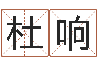 杜响免费起名字名字-生命密码测试