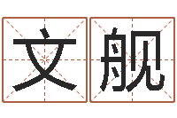 马文舰饿木命-属马和什么属相最配