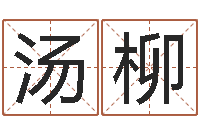 汤柳袁天罡称骨算命术-周易预测系统