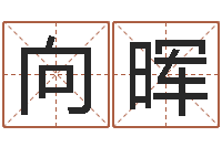 李向晖国学总站-乔姓男孩起名