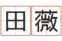 田薇两个人名字算命-怎样给孩子起名字