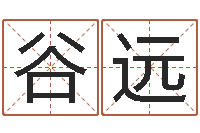 谷远还阴债免费算命-夫妻五行查询表