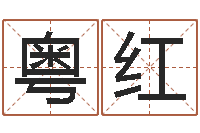 彭粤红小孩起名讲究-婴儿起名字网站