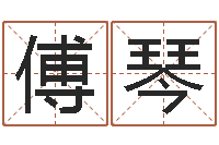 傅琴四柱推命学正版-艺术家