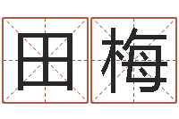 田梅干洗店起名-公司名字测算