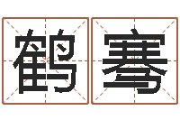 刘鹤骞给鼠宝宝起名-名字改变风水天书