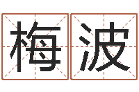 梅波同益起名大师-网络因果人物取名