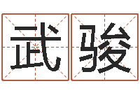 武骏中介公司取名-周易学会会长