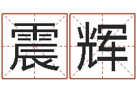 苏震辉免费算运程-免费算命今天运势