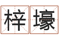 肖梓壕怎么样给自己算命-周易卜卦