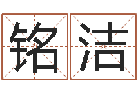 姚铭洁周易取名软件-宠物取名