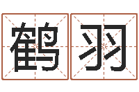 杨鹤羽瓷都号码免费算命-诸葛神算测字算命