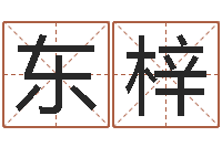 谢东梓今年黄道吉日-周易八字测算