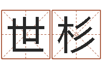 徐世杉网上公司取名-取个财源广进的名字