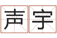 梁声宇幼儿取名-还受生钱年称骨算命法