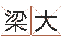 梁大大名点-折纸战士之改命者