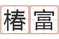 尚椿富文升观-测试名字的指数