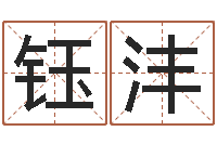 王钰沣系列择日软件-周公解梦命格大全