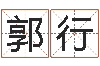 郭行童子命年属鸡的命运-生辰八字算命入门学