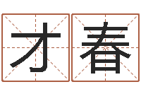 杨才春救生偶-公司取名打分